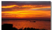 关于天气的描写：夜雨_800字