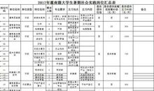 暑期社会实践心得体会--难忘的回忆