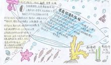 关于流星雨的作文1000字_900字