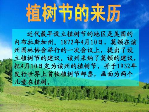 关于植树节的组成：我看到植树节_900个单词