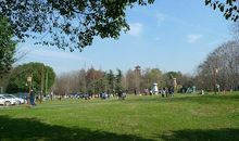 【每日天气】阳光灿烂_200字