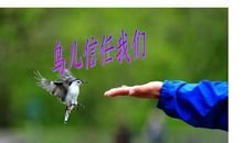 信任的喜悦_350字