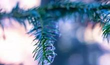 让我带你去看_450字