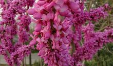 【每日天气】去体育公园_150字