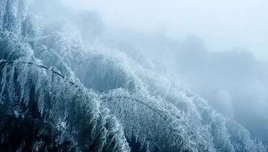 [每日天气]鹅毛大雪_150字