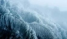 【每日天气】鹅毛大雪_150字