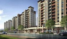 重拾记忆里的美好_900字