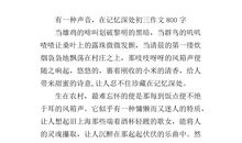 属于我们记忆_800字