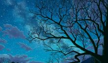 心中的风景_650字