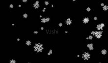 “雪花”飘_600字