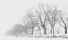 冬雪_200字