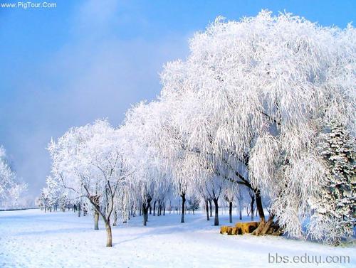 [微型撰写] Winter Field_150个单词