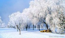 【微作文】冬天的田野_150字