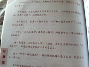 描述blizzard_3000个单词的段落