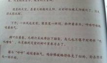 描写暴风雪的段落_3000字