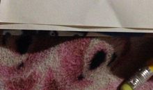 描写雾天的句子_2000字