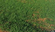 生活需要静僻_800字