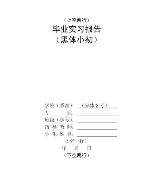 大学毕业生个人实习报告_2000字
