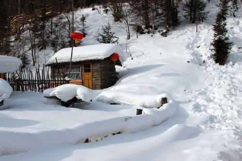 关于雪的组成：请参见Snow_550字