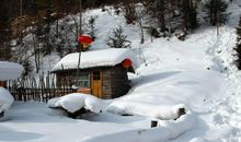 关于雪的作文：看雪_550字