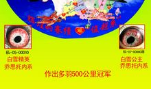 【微作文】白雪天幕下，浅思_100字