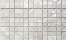 [2013暑期征文]《白色的贝壳》读后感_750字