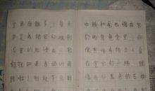 2019年江苏盐城中考满分作文：真的有意思（三）_700字