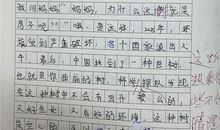 2019五年级期末考试作文：我的外婆_1200字