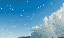 【微作文】飘落的雪花_150字