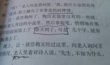 2019五年级期末考试作文：红绿灯下的交响曲_900字