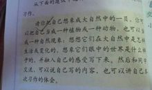 【微作文】冬景——唯一白_200字