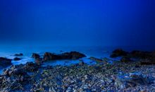 【微作文】冬景，冬夜_150字