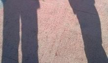 夜晚我再次进入梦乡_200字