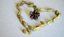 [PK赛]关于感动的作文：那年的康乃馨_800字