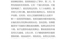 五年级写景作文：优秀作文五_450字