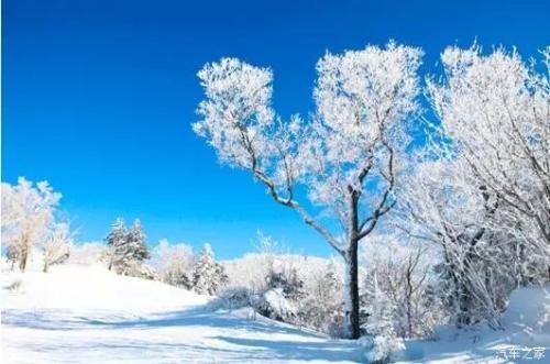 好季节，好句子：冬天下雪_600字