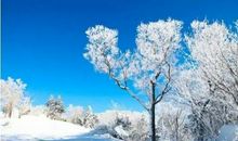 季节好段好句：冬日的雪天_600字