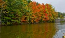 季节好段好句：在深秋时节_900字