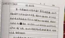 [我的偶像]随笔_800字