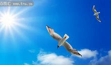 [2013暑期征文]美丽的大海_650字