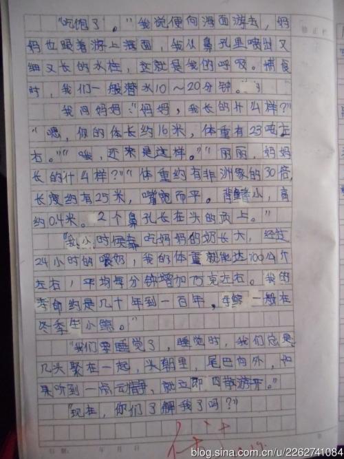 四年级继续写作和改写作文：鲸鱼的自我报告_450字