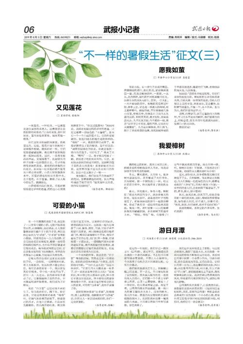 [2013夏季随笔]我的夏日生活_650字