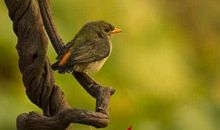 【每日天气】大地回春_150字