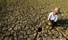 【每日天气】干旱少雨的天气_150字