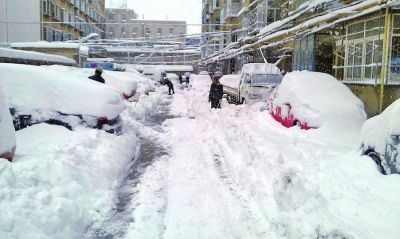 [每日天气]冬季早晨的月亮Snow_450个单词