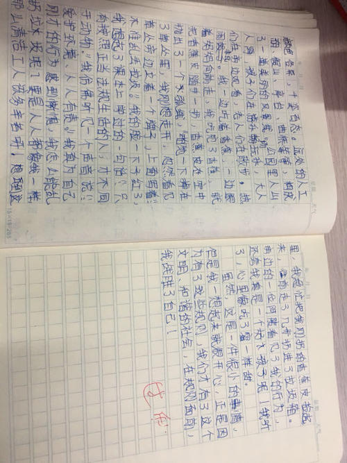 关于规则的构成：在规则之前，我选择遵守_450字