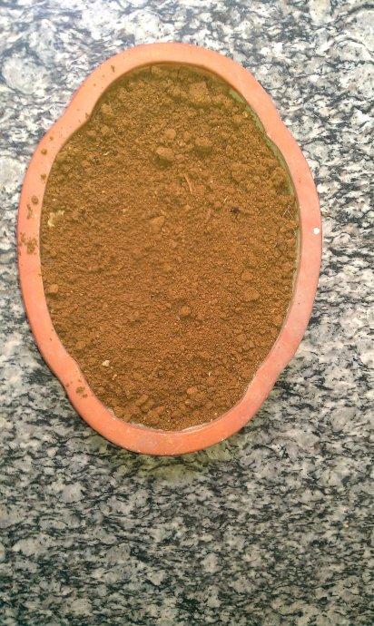 观察日记：观察含羞草_600字