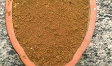 观察日记：观察含羞草_600字