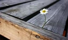 常见100种作文写作方法——58、定点换景法