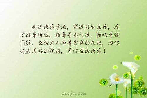 关于幸福。幸福。美丽的精彩段落